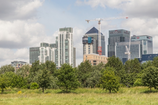 I've tried to combine the 'artificial' and 'natural' contrasts in this image. I used a telephoto setting to make the buildings look closer to the trees. The idea is that the buildings are encroaching on the natural space!   